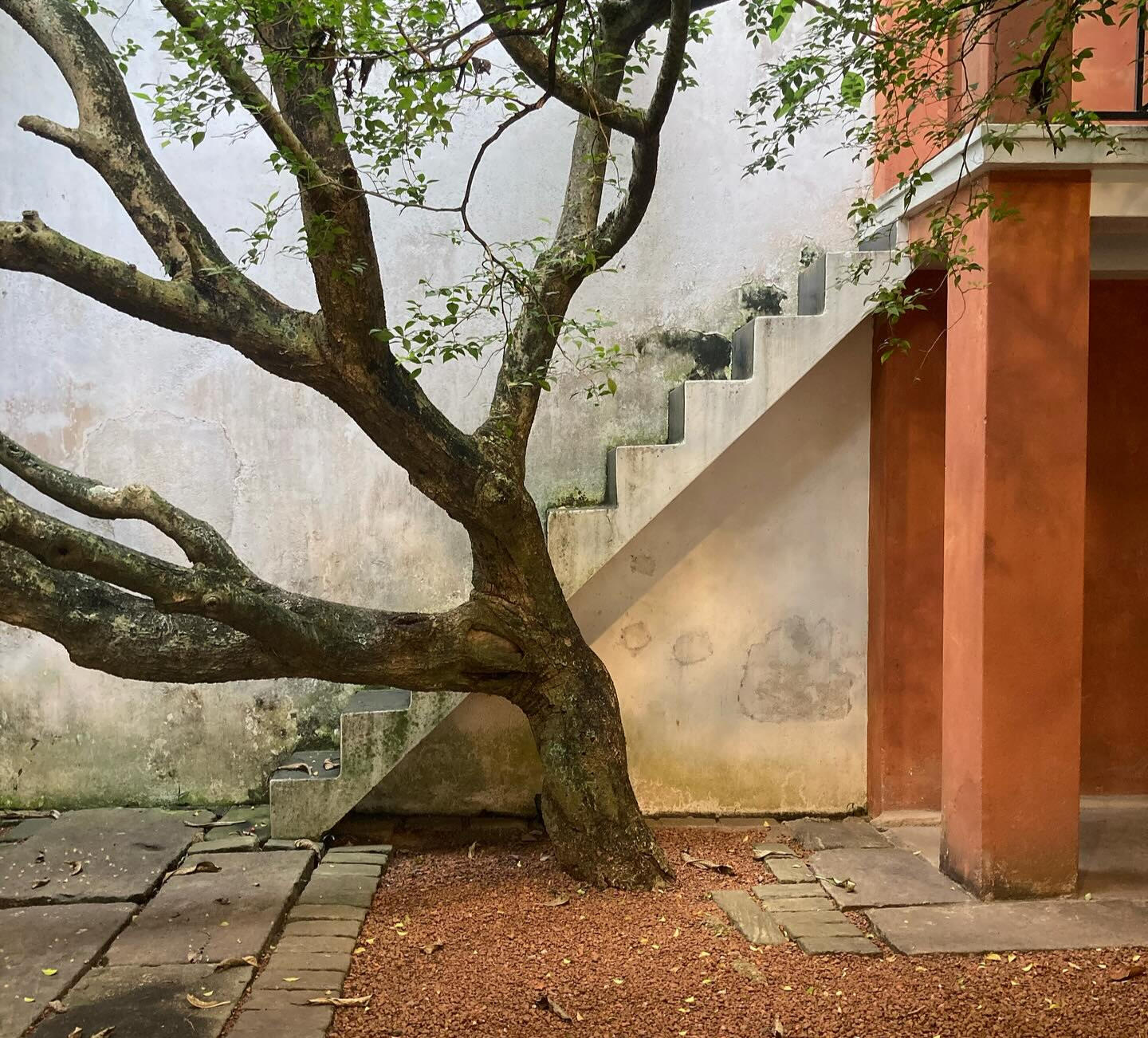 Concrete stairs Landscape Construction Melbourne